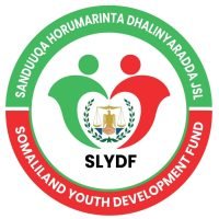 WhatsApp Image 2026-03-17 at 17.11.05